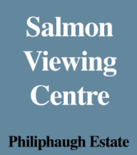 Watch the Salmon live on the interactive video screen and choose from 4 different cameras around the edge of the Ettrick river. Learn all about the life cycle of the King of the fishes from the Salmon Wall display.