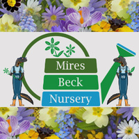 Nestled in the rural East Yorkshire Wolds village of North Cave, Mires Beck Nursery sits alongside a beautiful beck and is situated not far from the Wetlands nature reserve. We are open all year as a public nursery, special needs day care provider and registered charity. We value this special place, the service it provides our community and how many lives it has touched. We have active Facebook, Instagram, Twitter, and TikTok social media sites which keep you informed on all activities at the nursery. We would love to tell you about everything that happens at Mires Beck Nursery. Find out all about the work we do at Mires Beck by clicking the website link below...
