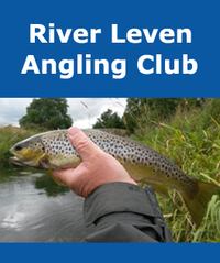 We aim to promote fishing on the River Leven, at an affordable price. It is also in the club’s interest to maintain the river’s general health and being. The club plans to run some basic riverbank maintenance days to keep it clean and accessible in conjunction with the Landowners. What do we offer Approximately 16 miles of (mostly) double bank fishing on the River Leven. There is good access to most parts of the River, but if you fancy something a bit more challenging there is also the River Ore which is included with your permits. River Leven – Main species are Brown Trout and Sea Trout. Salmon have also been caught although in small number. “Catch and Release” especially for salmon is highly recommended. (Please refer to the clubs recommendations regarding our catch and release policy.) River Ore – Main species Brown Trout, Pike and Perch.